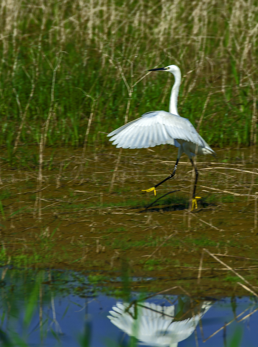 DSC_9317.jpg