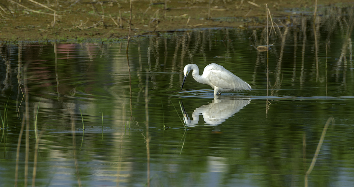 DSC_9319.jpg