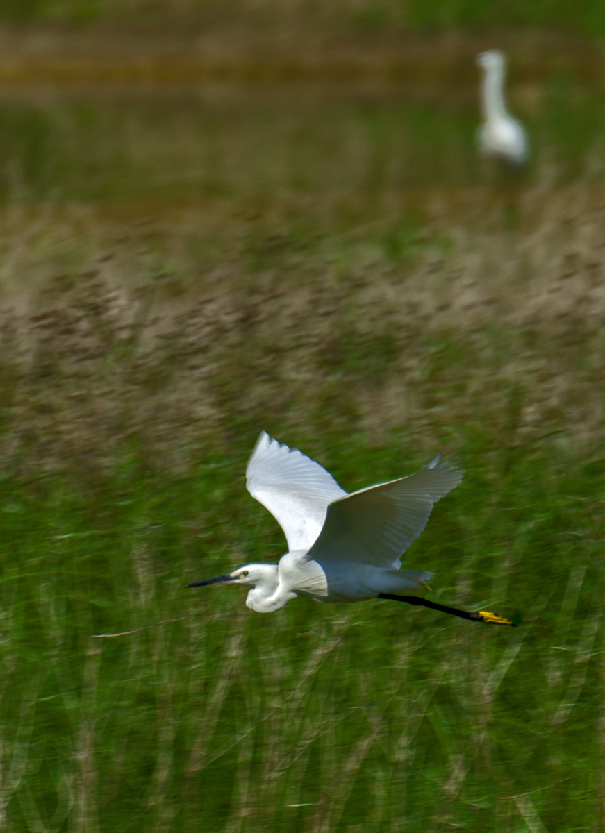 DSC_9380.jpg
