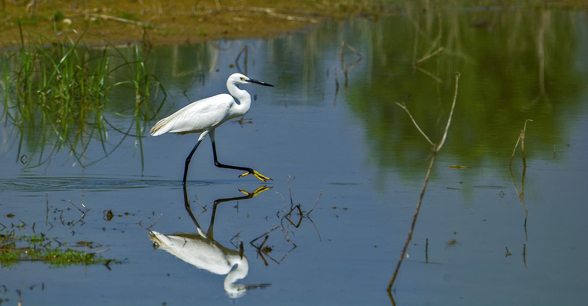 DSC_9401.jpg