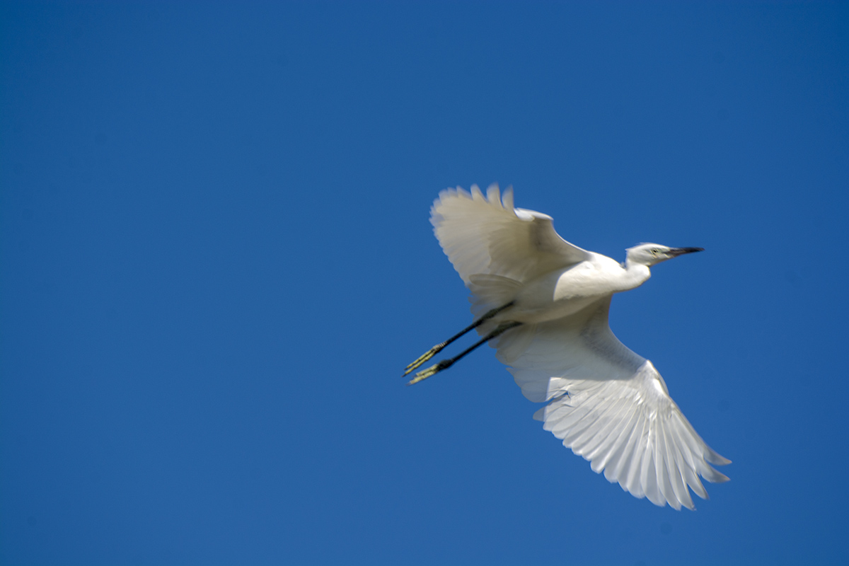 DSC_9392.jpg