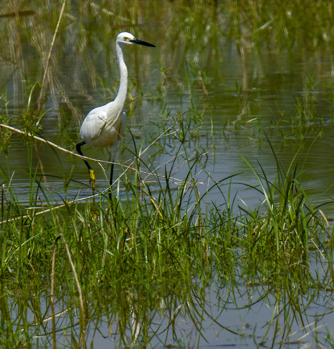 DSC_9408.jpg