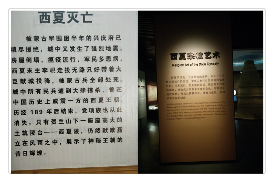 IMG20200710134936.jpg