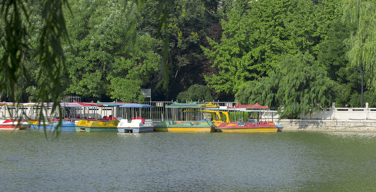 DSC_1161.jpg
