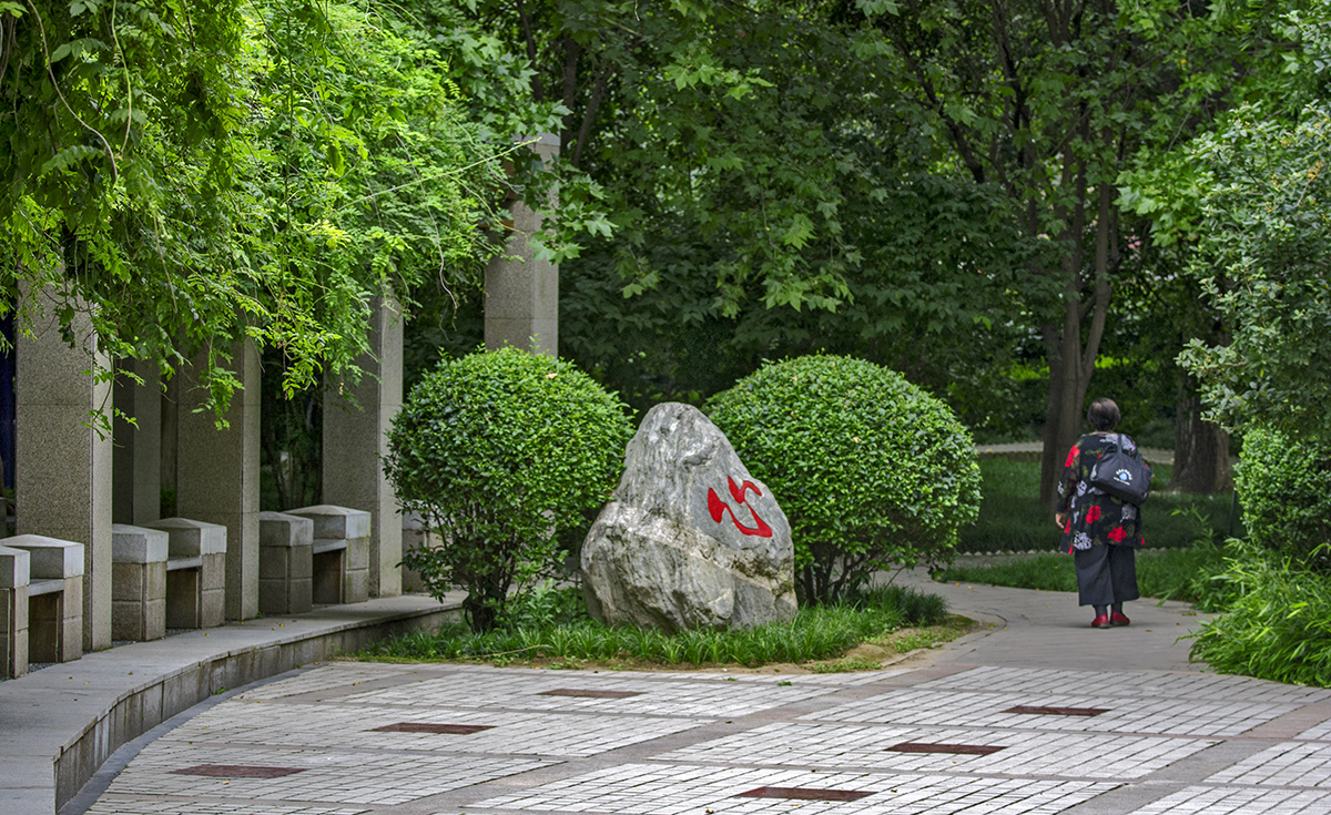 DSC_1206.jpg