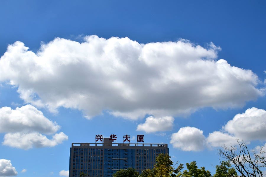 DSC_8681.jpg