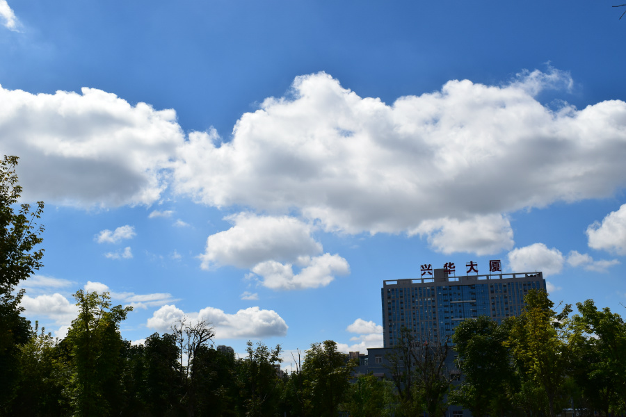DSC_8684.jpg