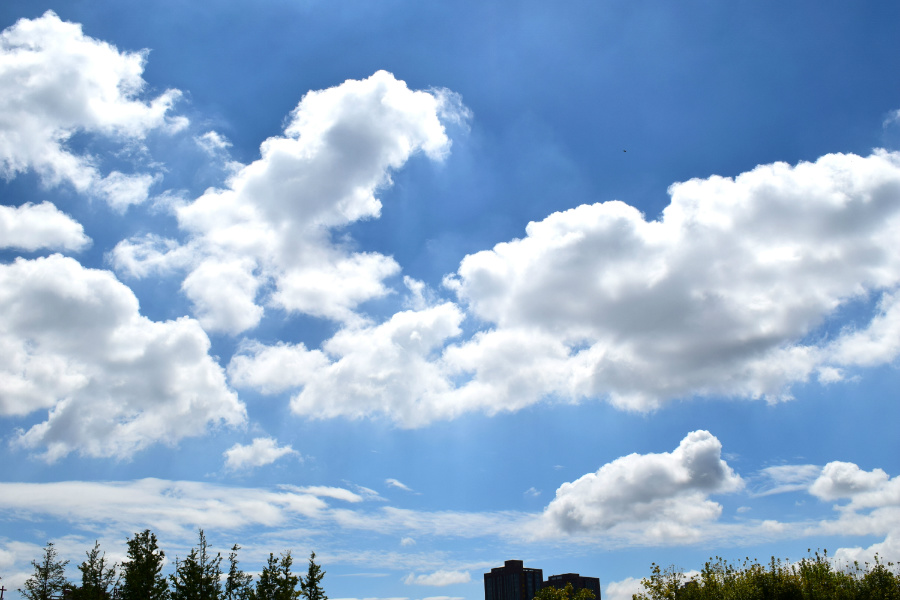 DSC_8688.jpg