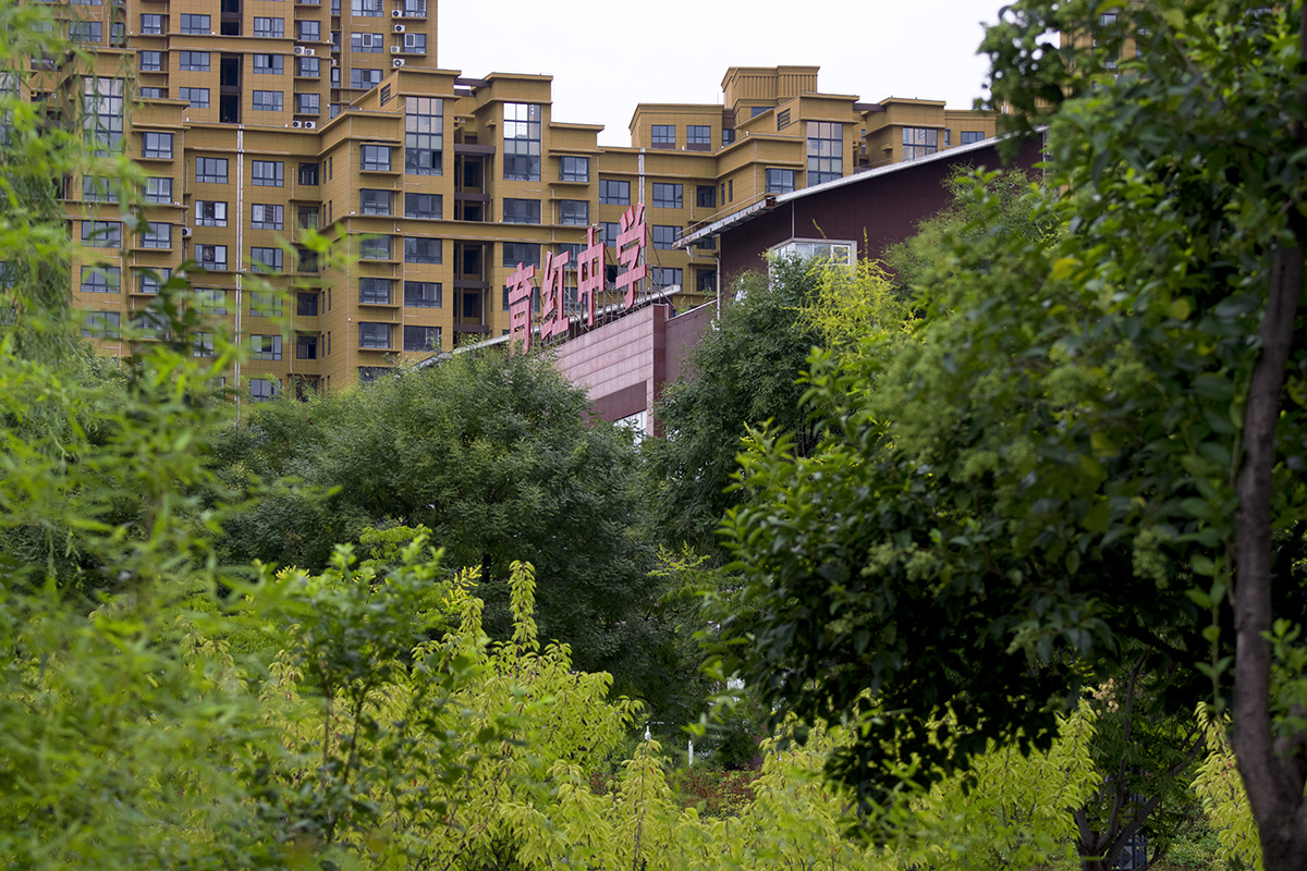 DSC_1251.jpg