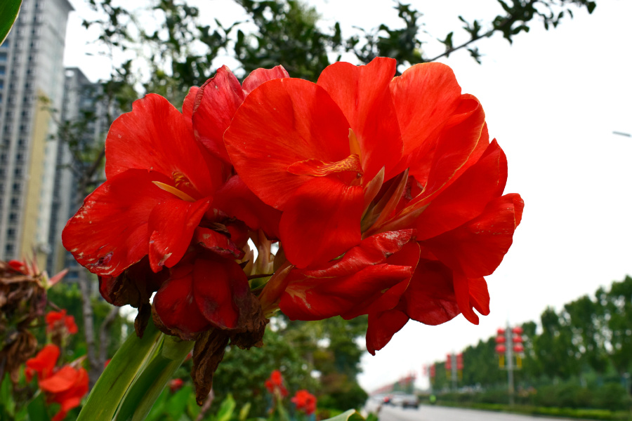 DSC_8673.jpg