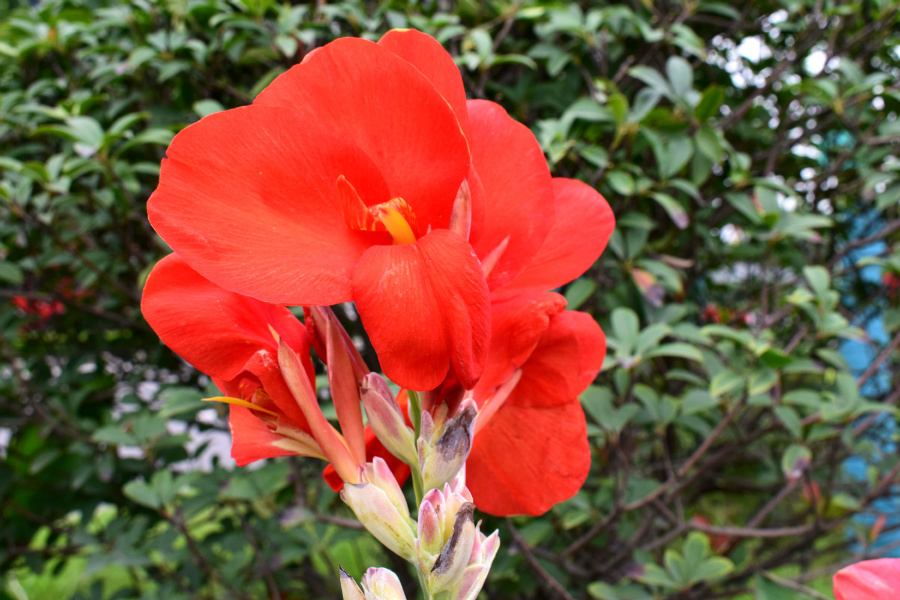 DSC_8674.jpg