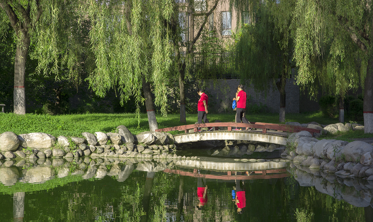 DSC_1609.jpg