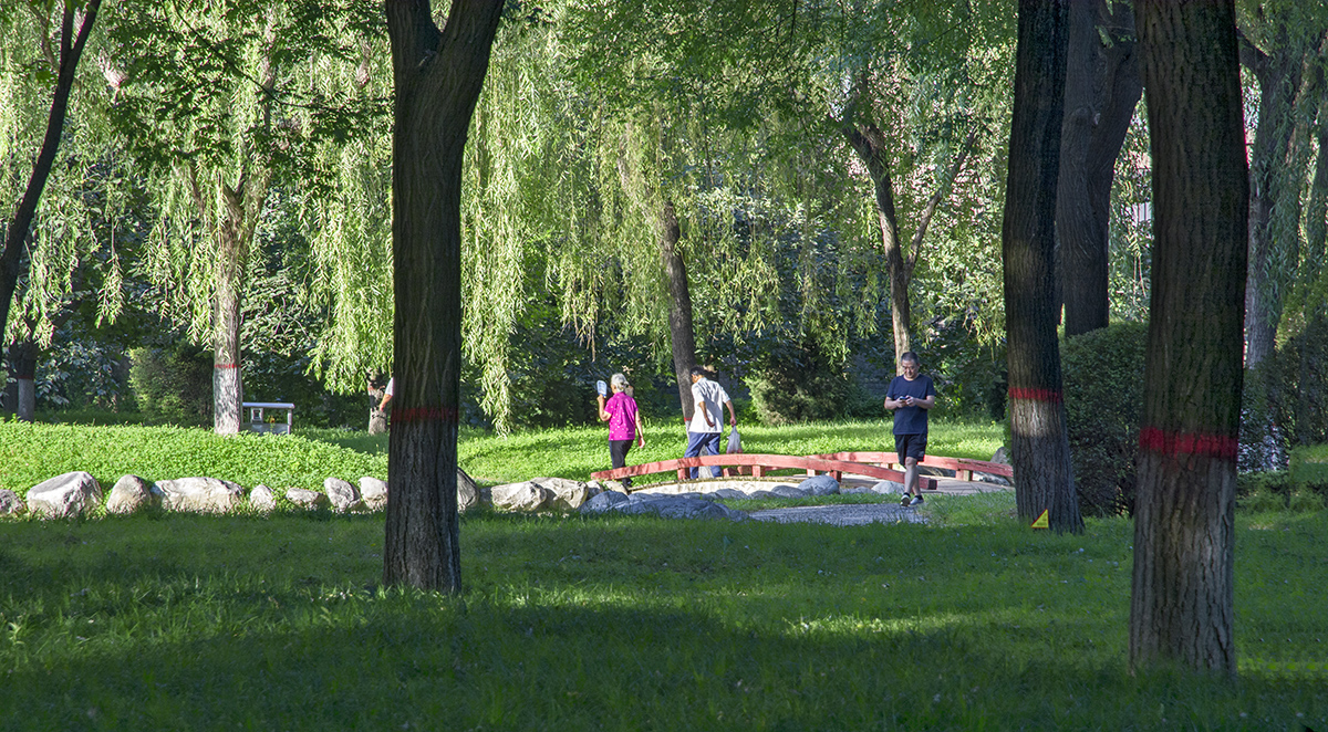 DSC_1612.jpg