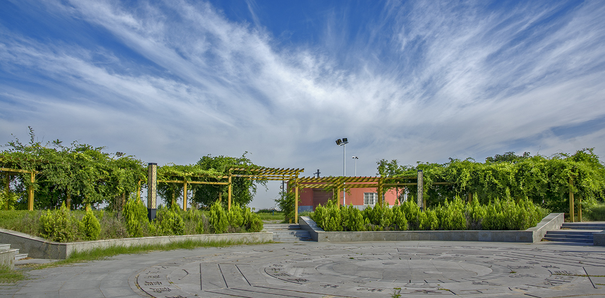 DSC_1708.jpg