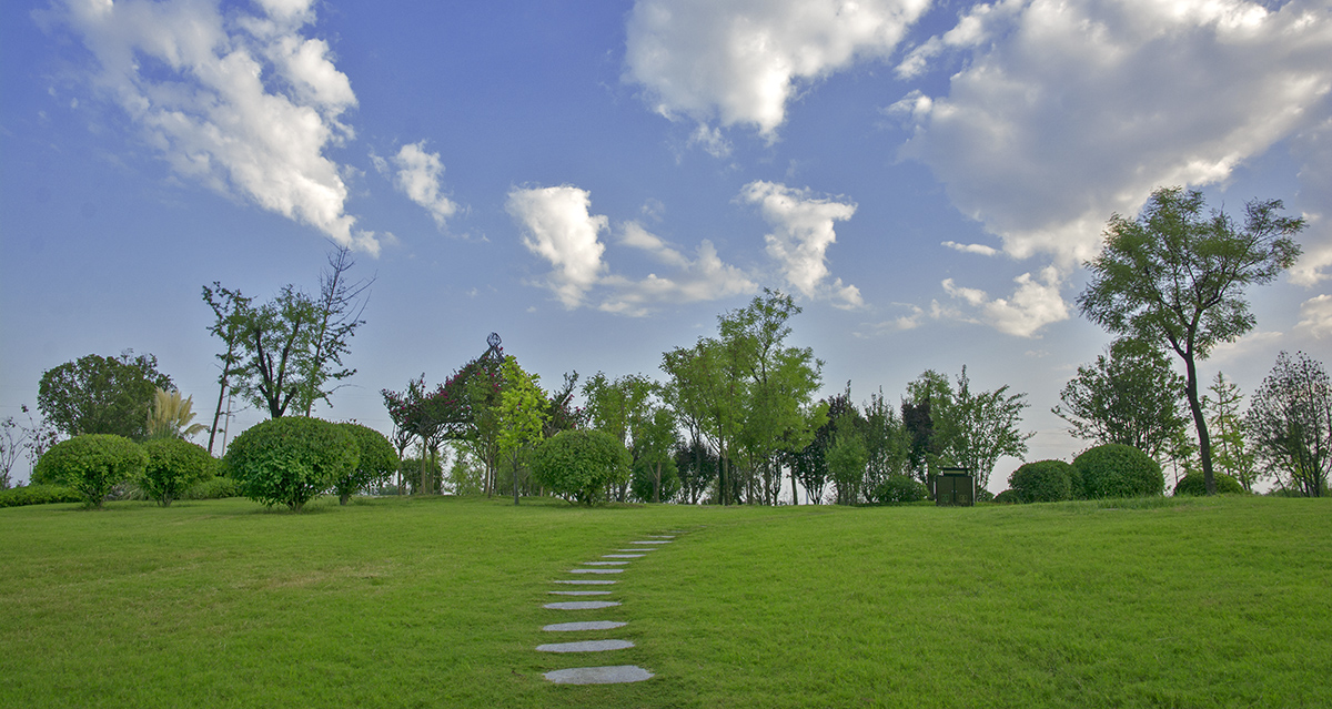 DSC_1752.jpg