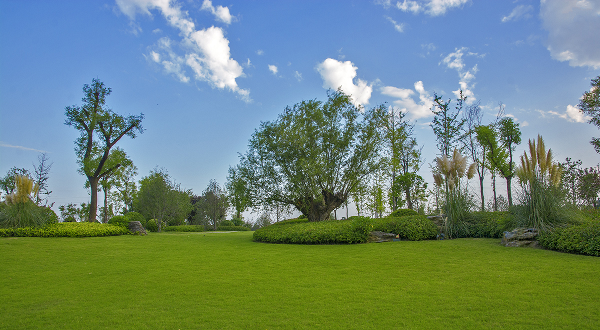 DSC_1756.jpg
