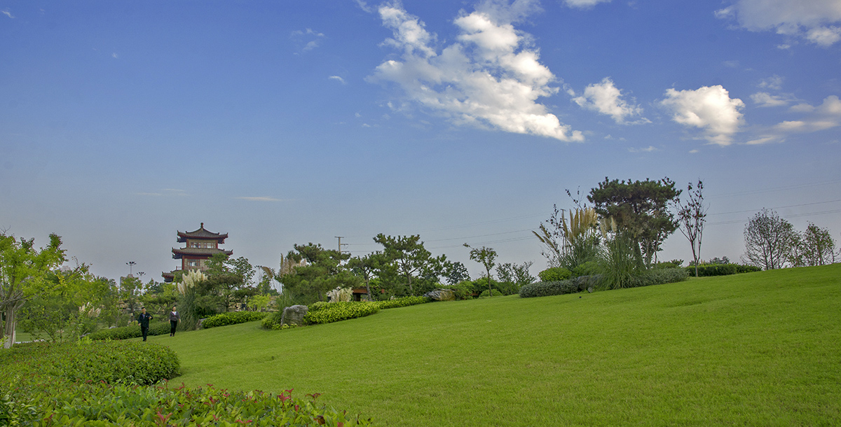 DSC_1749.jpg