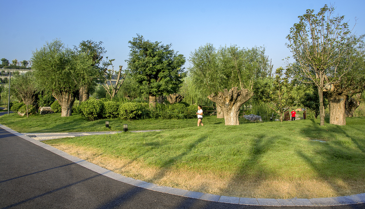 DSC_1808.jpg