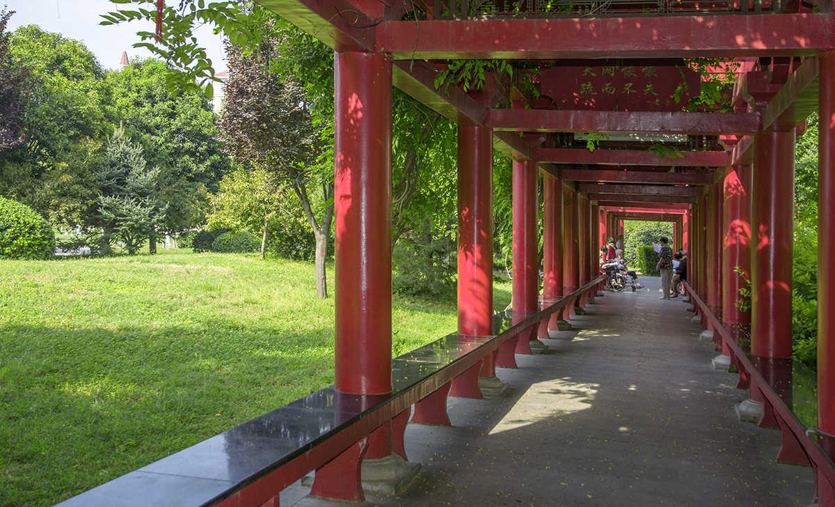 DSC_1911.jpg