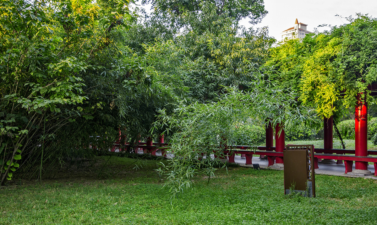 DSC_1842.jpg