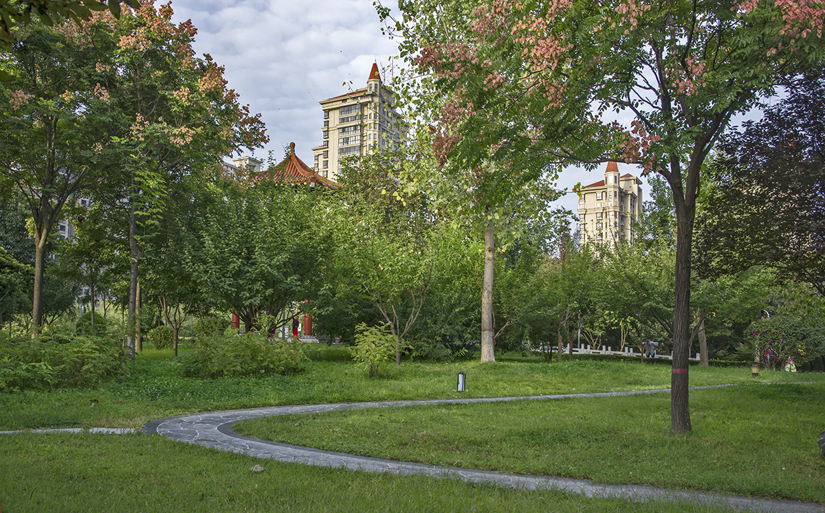 DSC_2137.jpg