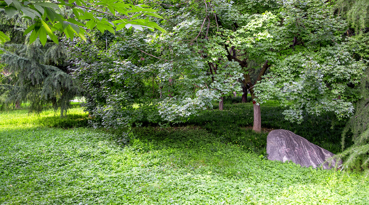 DSC_2132.jpg