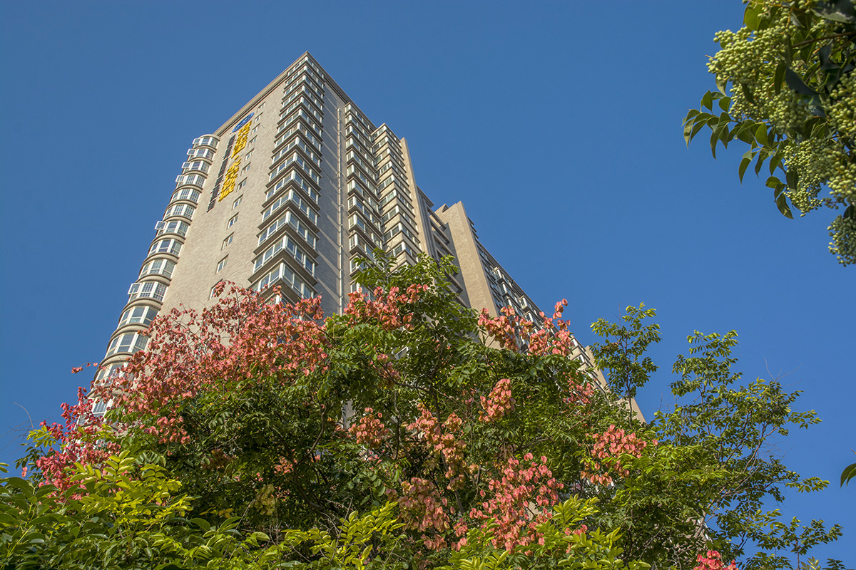 DSC_2195.jpg