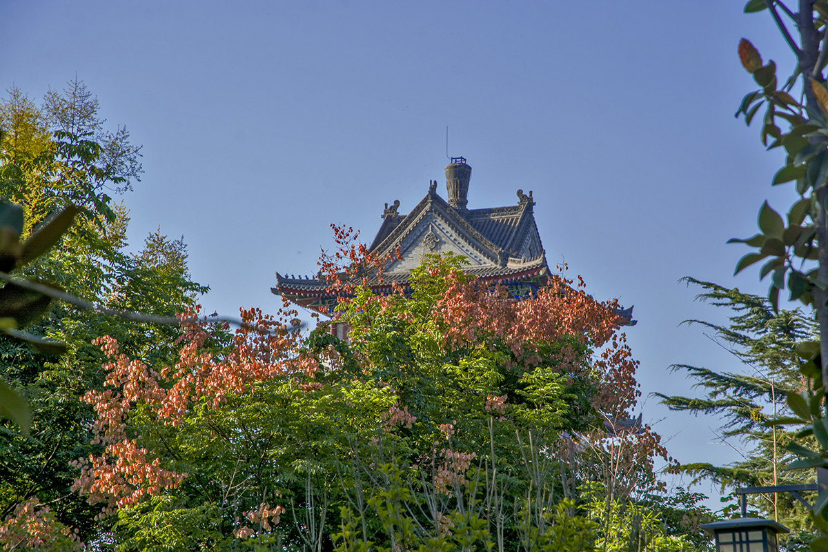 DSC_2203.jpg