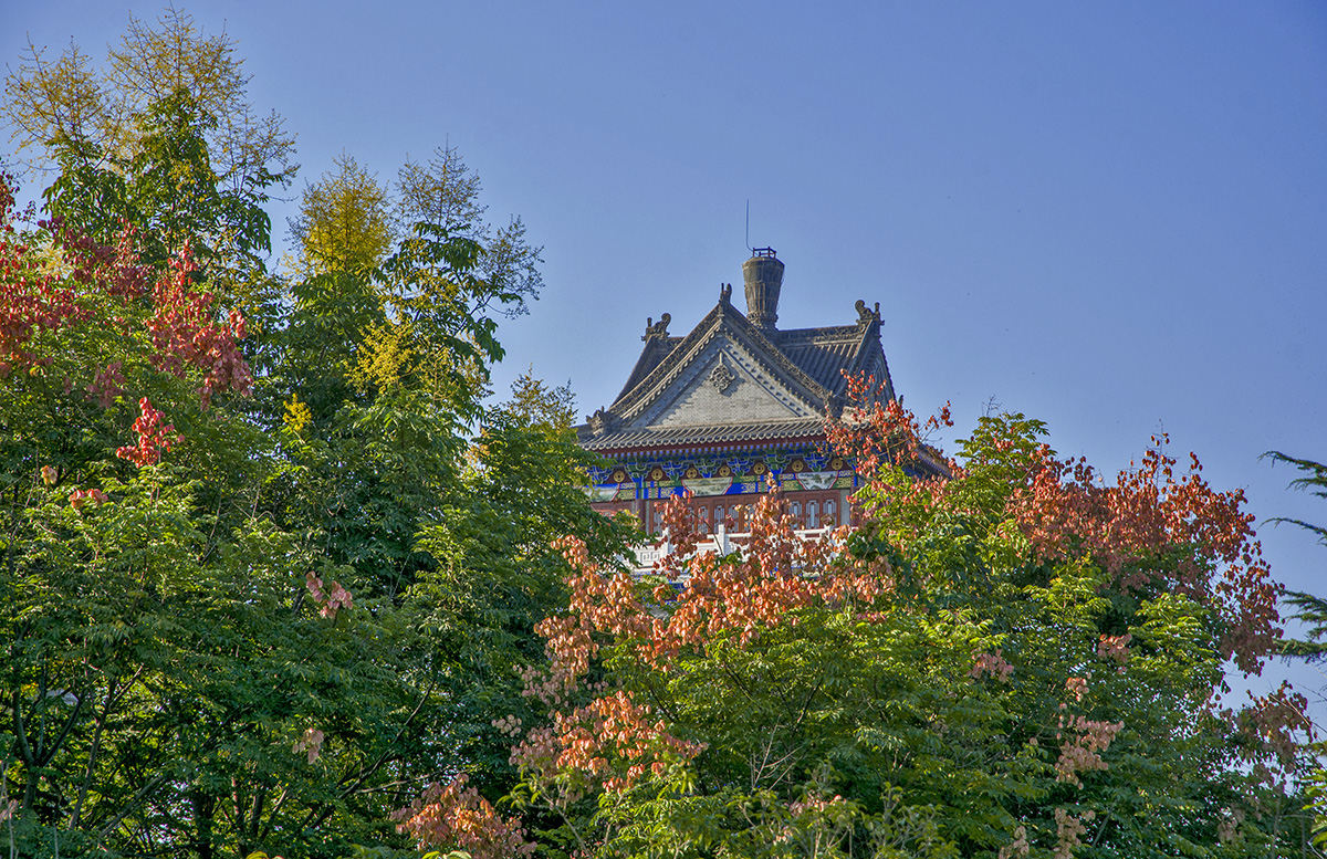 DSC_2205.jpg