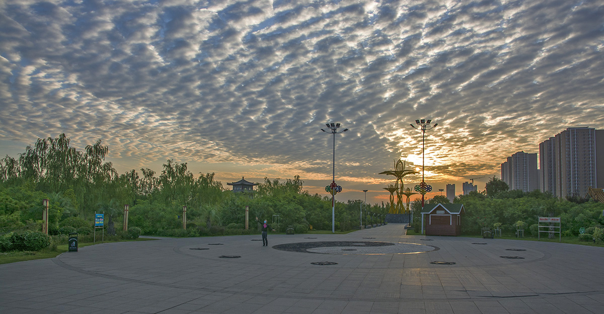 DSC_2261.jpg