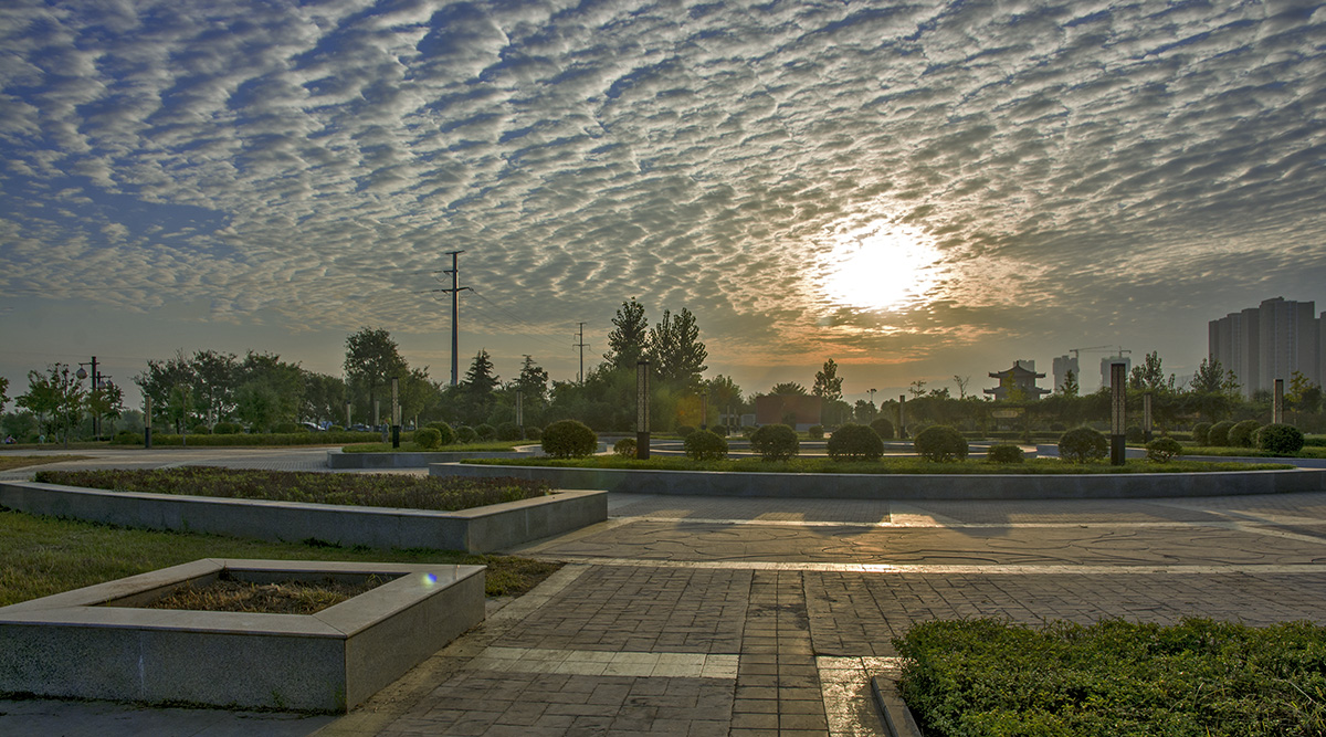 DSC_2271.jpg