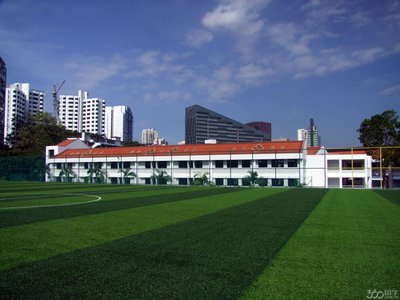 t019ee2a84a99c86d19.jpg
