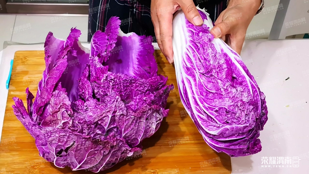 我姐她婆婆种的!看着很像大白菜,却是紫色的?
