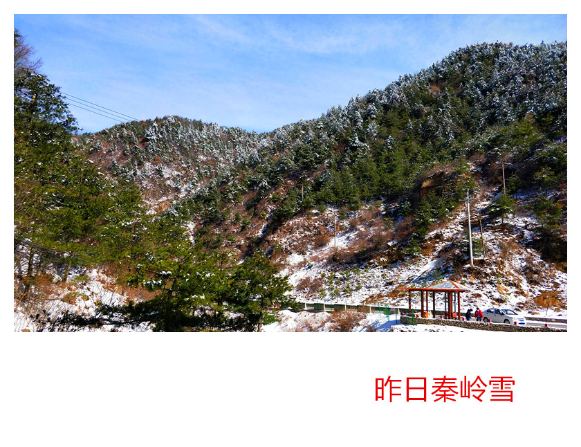 IMG20210302103827.jpg