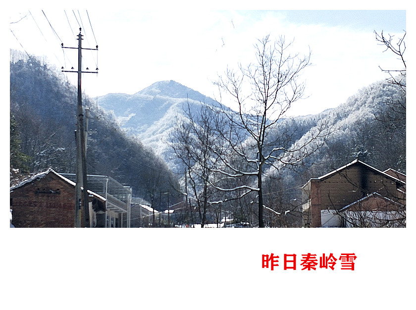 IMG20210302104825.jpg