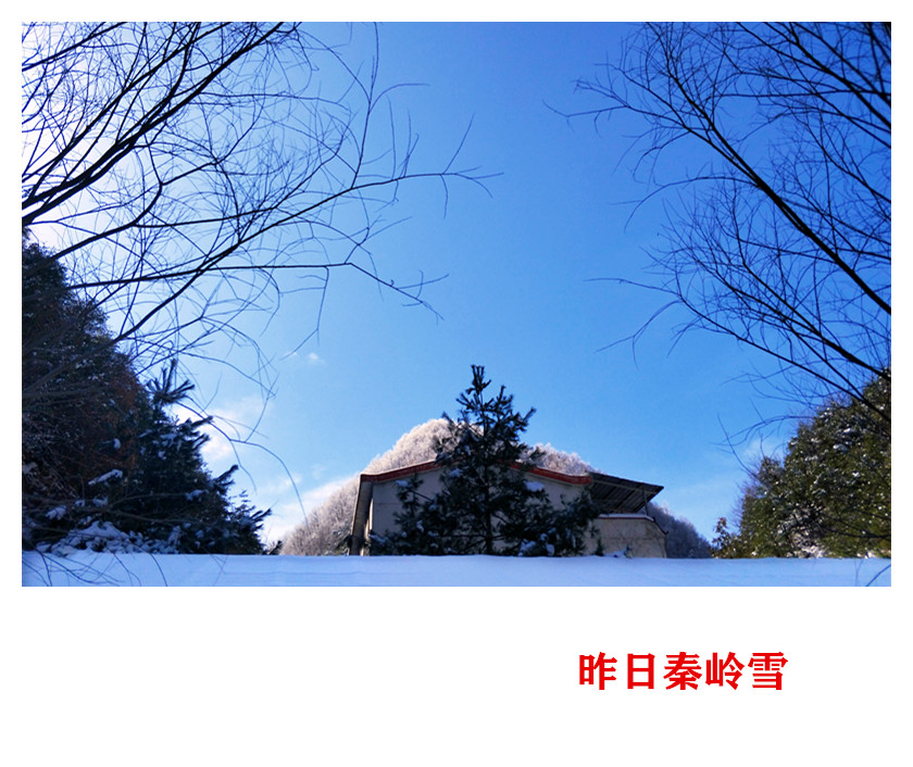 IMG20210302105818.jpg