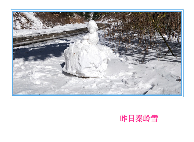 IMG20210302110239.jpg