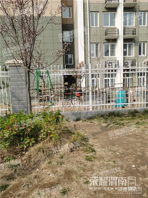 114.jpg