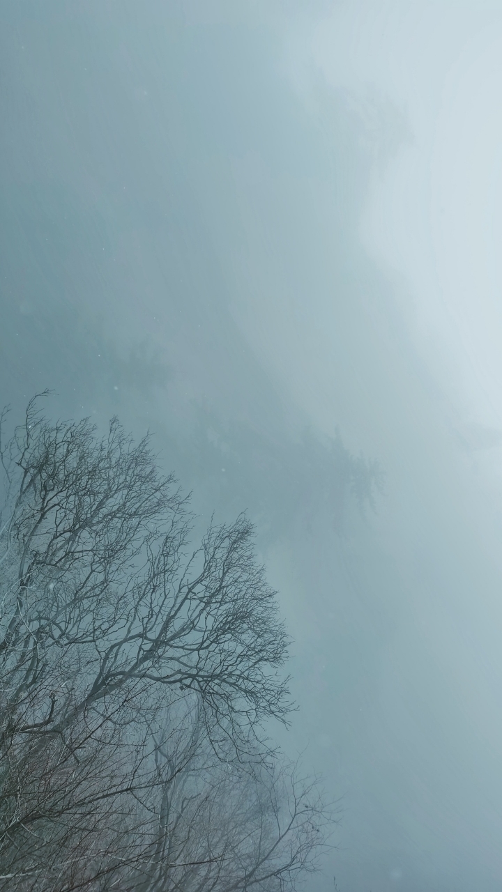 front2_0_FkUbjeIHFr6mSMzqX_1hDQnzQkYA.1615427823.jpg
