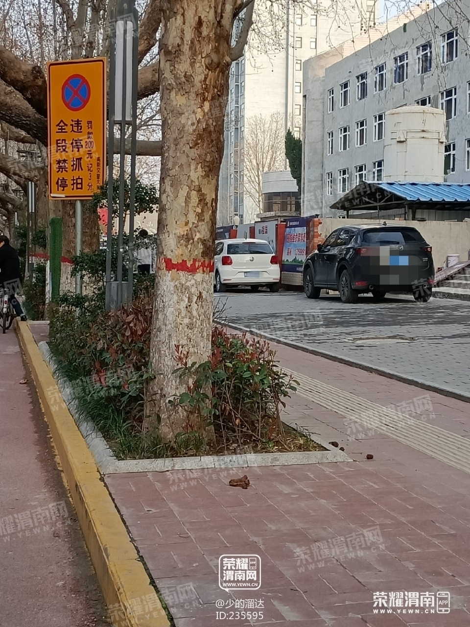 174044pli8nsubuislnlin_����.jpg