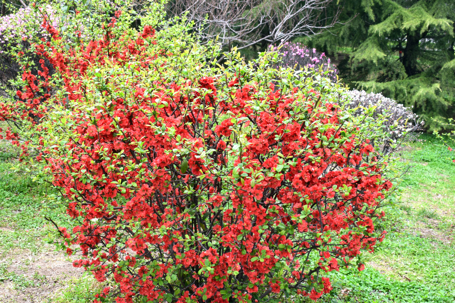 DSC_9360.jpg