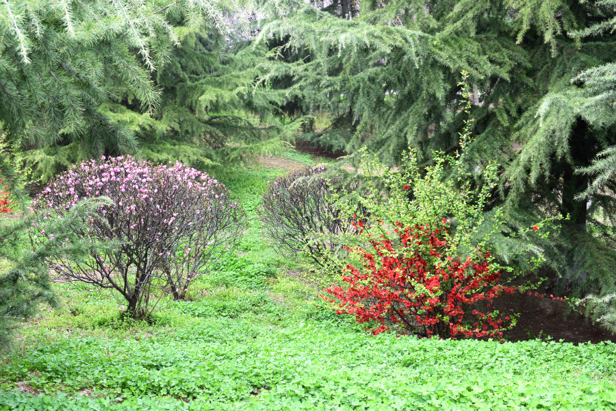 DSC_9361.jpg