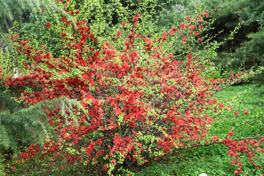 DSC_9363.jpg
