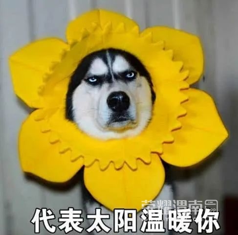 154835iyezd11pbkdyepfs.jpg