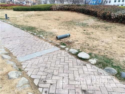 62.jpg