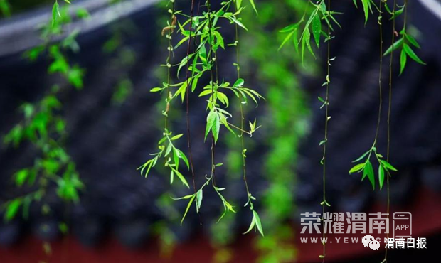 174214p2ztotgh3pu80uxu.jpg