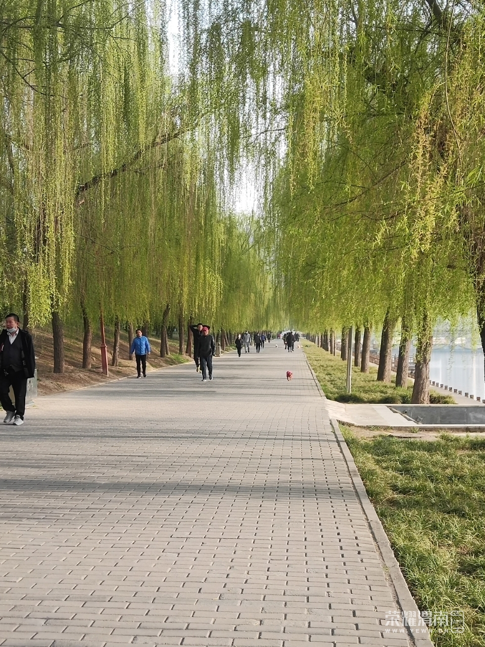 front2_0_FrWBKk8wTOitVfMkj-S20mE-qN52.1616541590.jpg