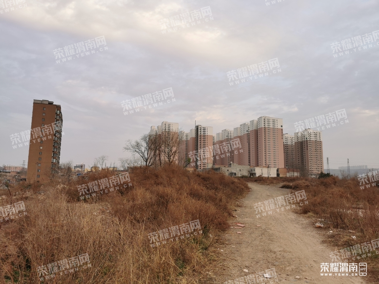 211728y8sajl5snjviramz.jpg