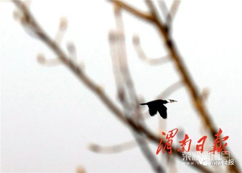 154001o279cv6565g3f5vl.jpg