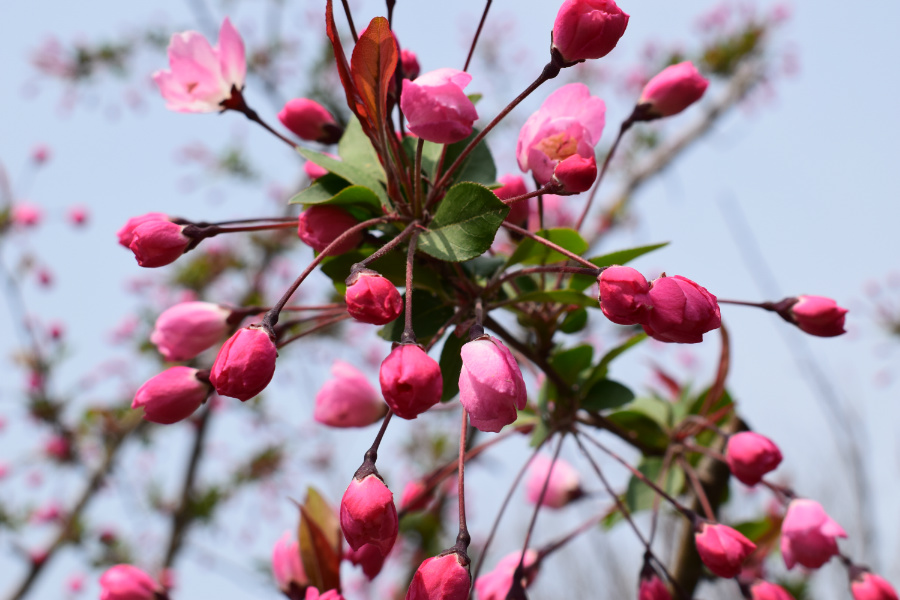 DSC_2911.jpg